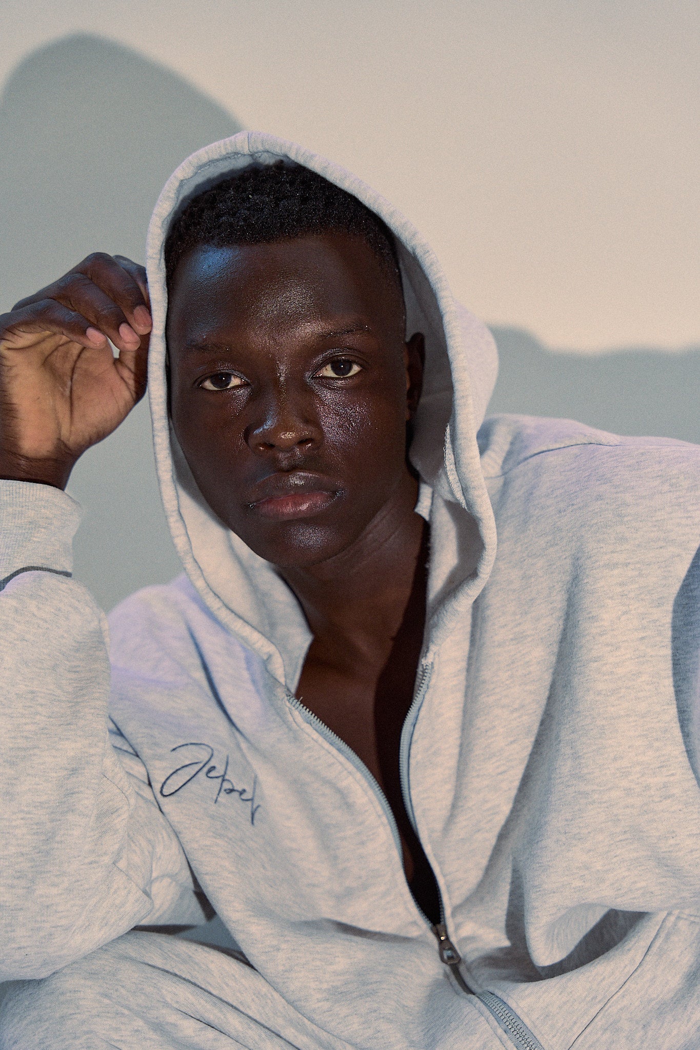 Light Gray Zip up